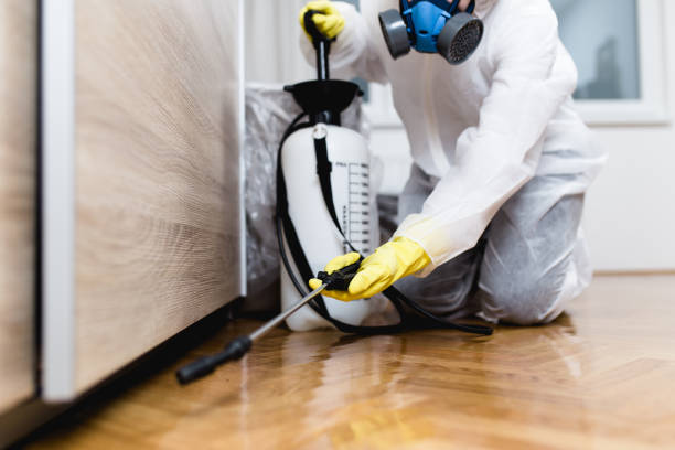 Best Wildlife Control Services  in Rock Springs, NM