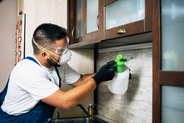 Reliable Rock Springs, NM Pest Control Solutions