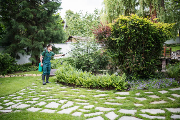 Best Best Pest Control Companies  in Rock Springs, NM