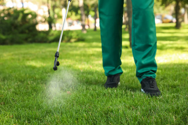 Best Mosquito Control Services  in Rock Springs, NM