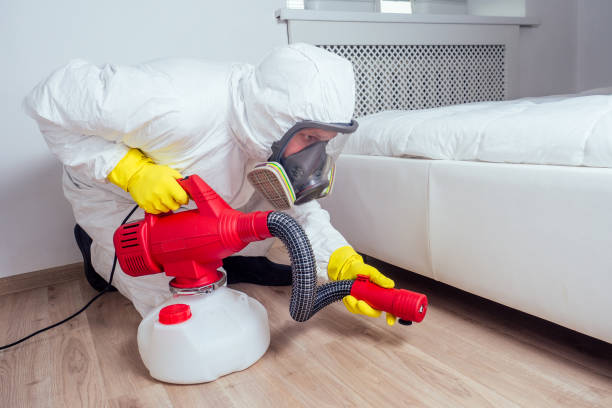 Best Termite Control Services  in Rock Springs, NM