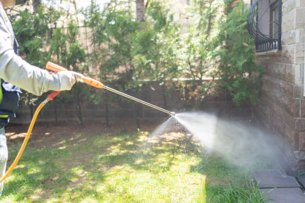 Best Wasp Removal Services  in Rock Springs, NM