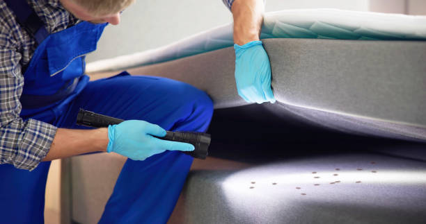 Best Best Pest Control Companies  in Rock Springs, NM