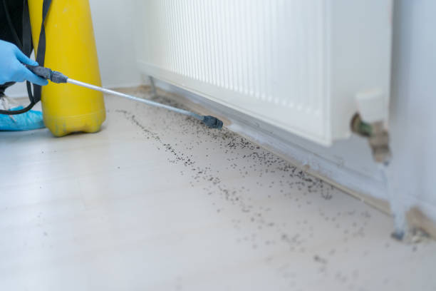 Best Cockroach Control Services  in Rock Springs, NM