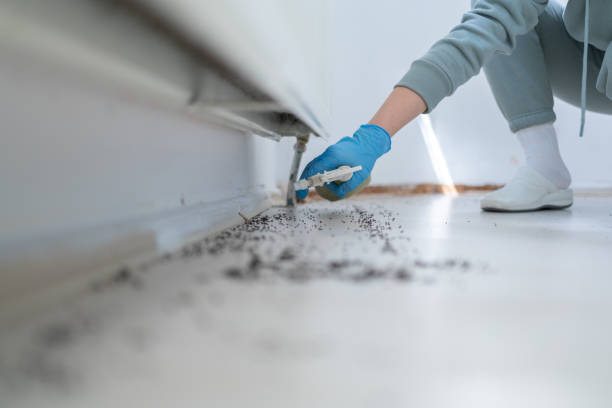 Best Insect Control  in Rock Springs, NM